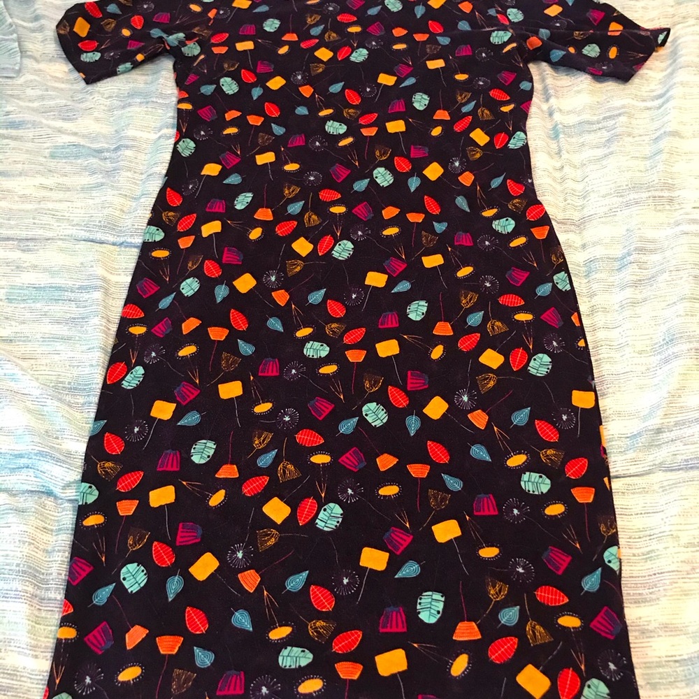 Gently Used Julia Dress by LulaRoe